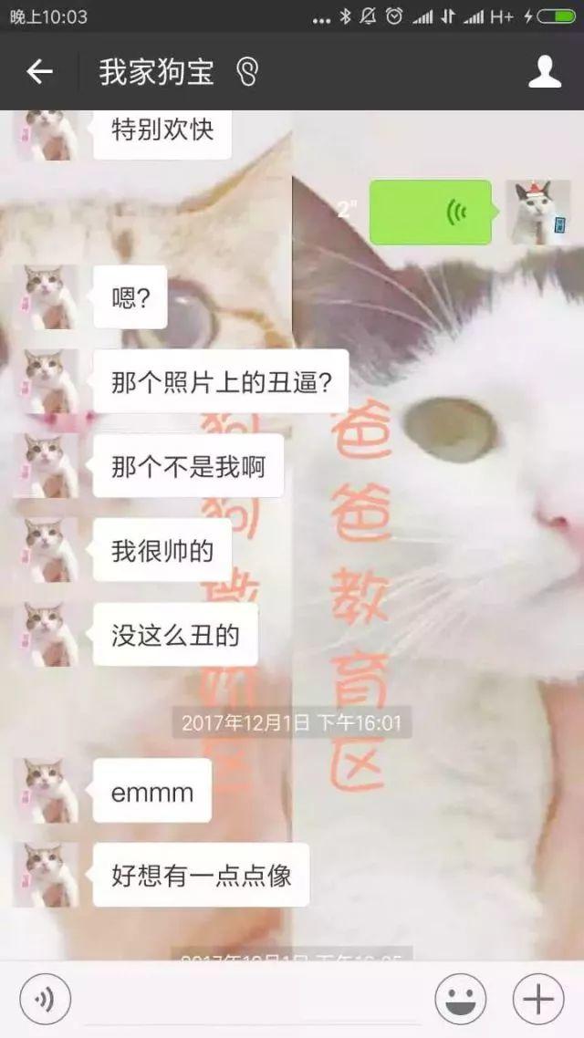 告解室字母圈有个“小奶宠”男M是种怎样的体验？