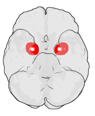 告解室字母圈如果dom/sub有另一个名字，我想会是“进化论在生物学中的亲吻”