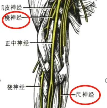 告解室字母圈绳缚学习干货，零基础也能学会！奇怪的技艺又增加了！