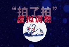 虚拟调教:我迷上了“假的”字母圈-告解室