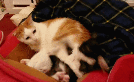 字母圈大型Dirty talk攻略:只言片语,就让ta心潮泛滥(干货预警) 字母圈大型Dirty talk攻略:只言片语,就让ta心潮泛滥(干货预警)