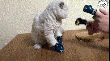 字母圈双属性的快乐你不懂:我胃口大,既馋S,又馋M 字母圈双属性的快乐你不懂:我胃口大,既馋S,又馋M