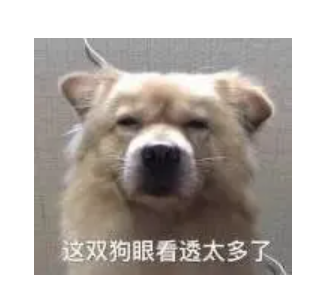 字母圈曾经梦想掰女友,刚一开口就失手 字母圈曾经梦想掰女友,刚一开口就失手