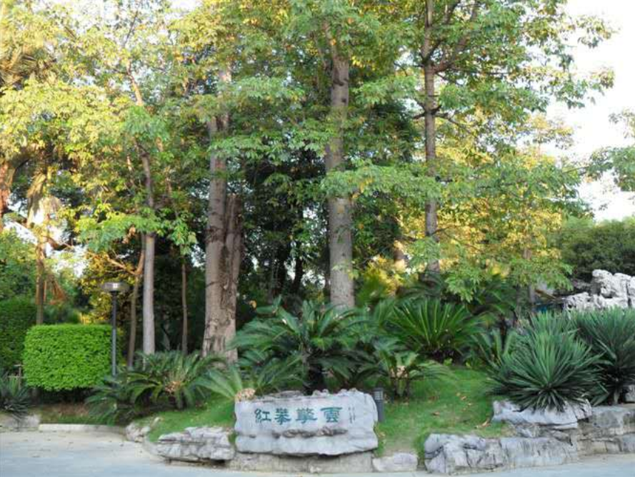 字母圈被骗多次后,我放弃找主了 字母圈被骗多次后,我放弃找主了