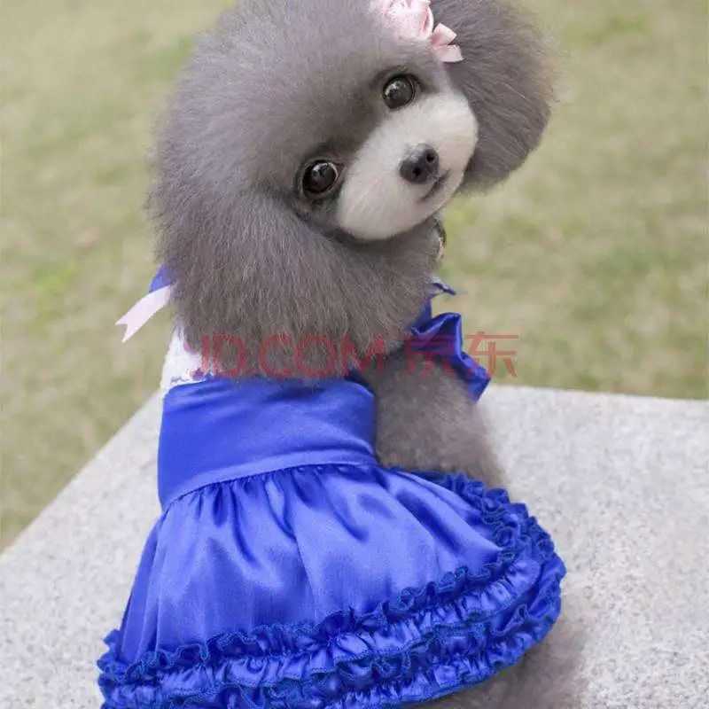 字母圈干货来了!走进dom/sub中的伪娘——Sissy Maid 字母圈干货来了!走进dom/sub中的伪娘——Sissy Maid