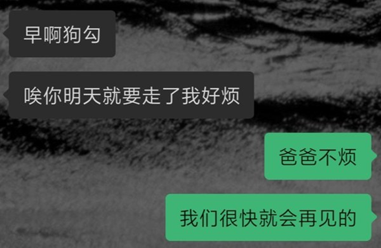 dom/suber之间有哪些难忘的聊天记录