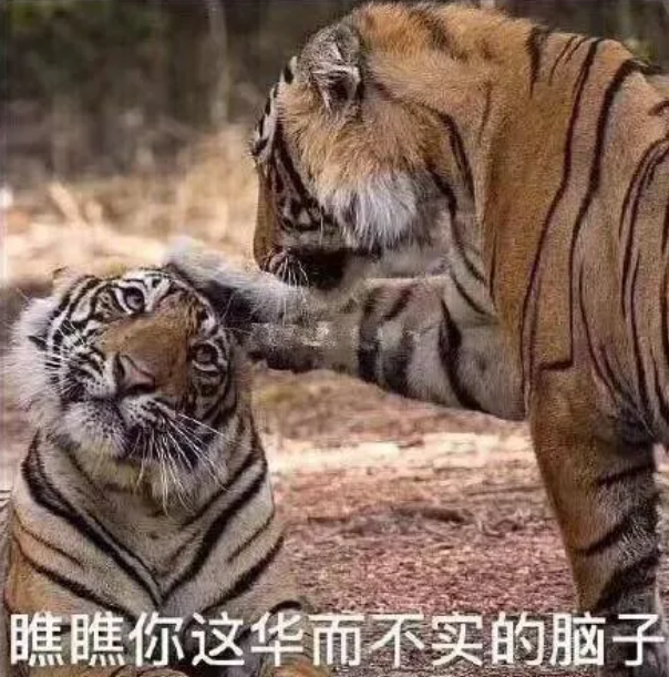 字母圈不会当“ATMnu”的S已经没有活路 字母圈不会当“ATMnu”的S已经没有活路