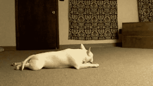 字母圈在dom/sub里说说“爱” 字母圈在dom/sub里说说“爱”