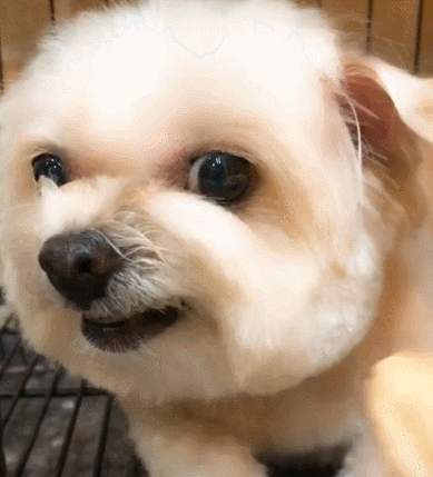 字母圈不会当“ATMnu”的S已经没有活路 字母圈不会当“ATMnu”的S已经没有活路