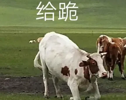 字母圈Brat经典作死语录大赏 字母圈Brat经典作死语录大赏