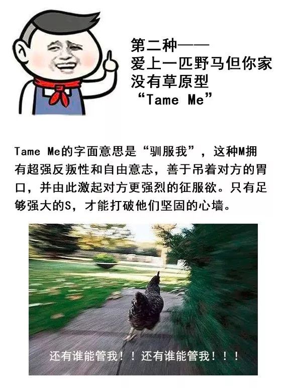 字母圈你了解ta是哪种M么？就找M找M找M