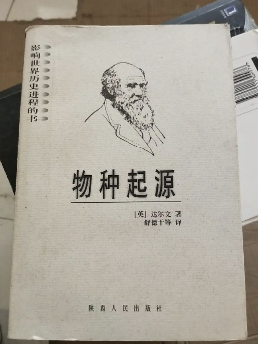 字母圈你连spank的历史都不了解，凭什么做我主？（宠头