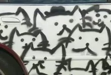 字母圈Mia,现在过来!(M/F)-告解室