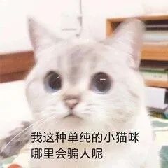 字母圈s/dom要我拍luo照做任务返图我应该去做吗？