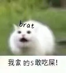 字母圈放置play真的是制服brat的终极杀手锏！