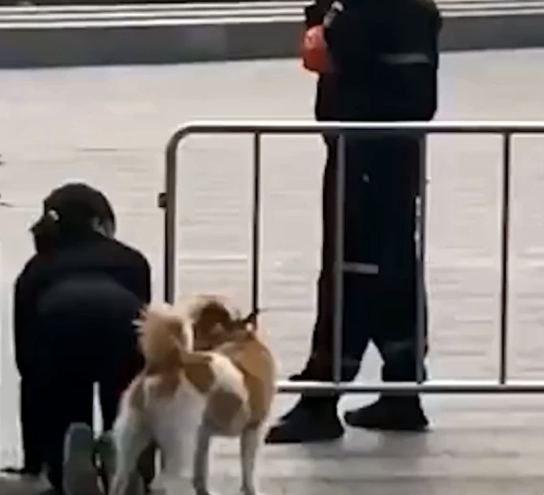 字母圈女高管体验后，“很快乐，但有负罪感。”