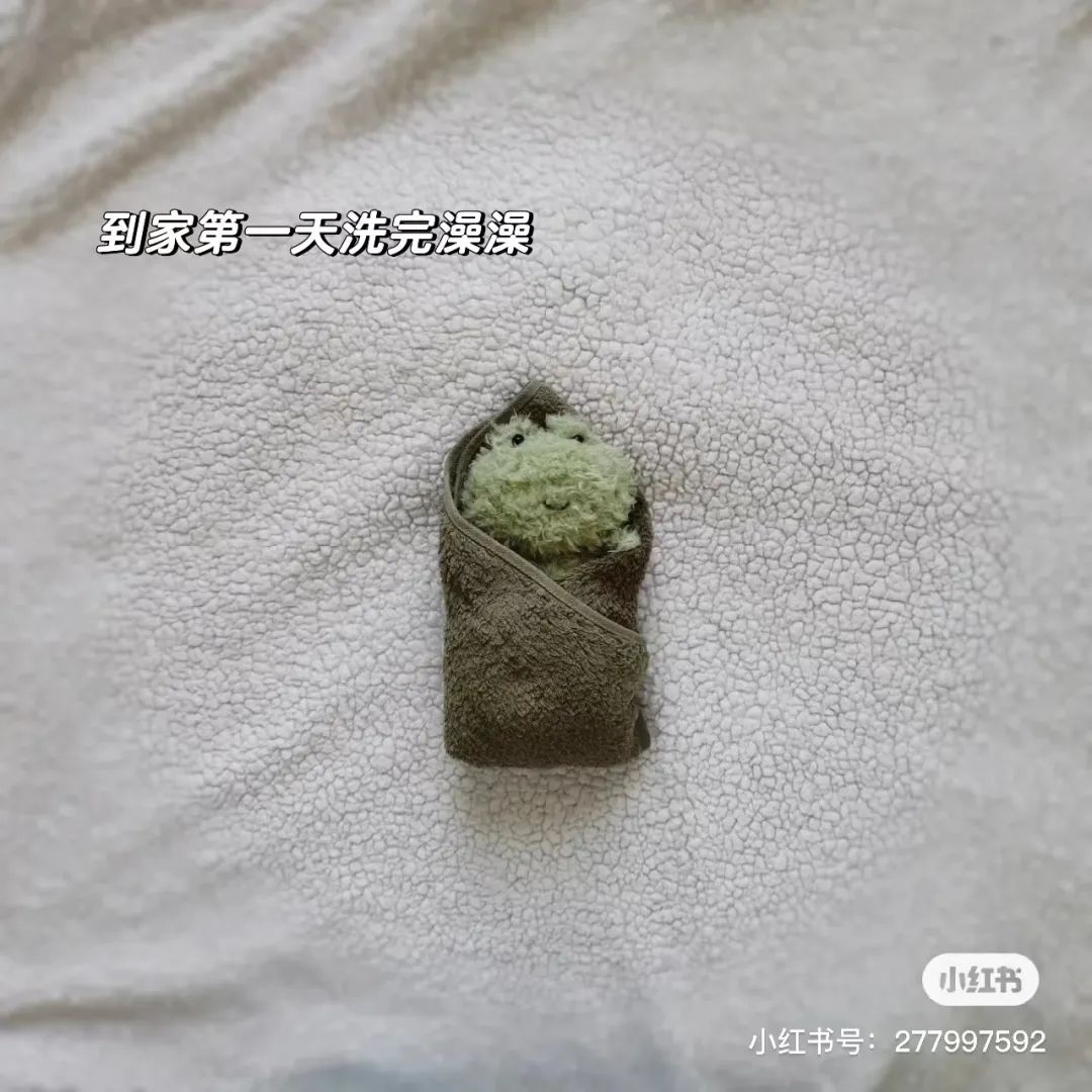 字母圈这种XP比福瑞控还可爱，谁懂！