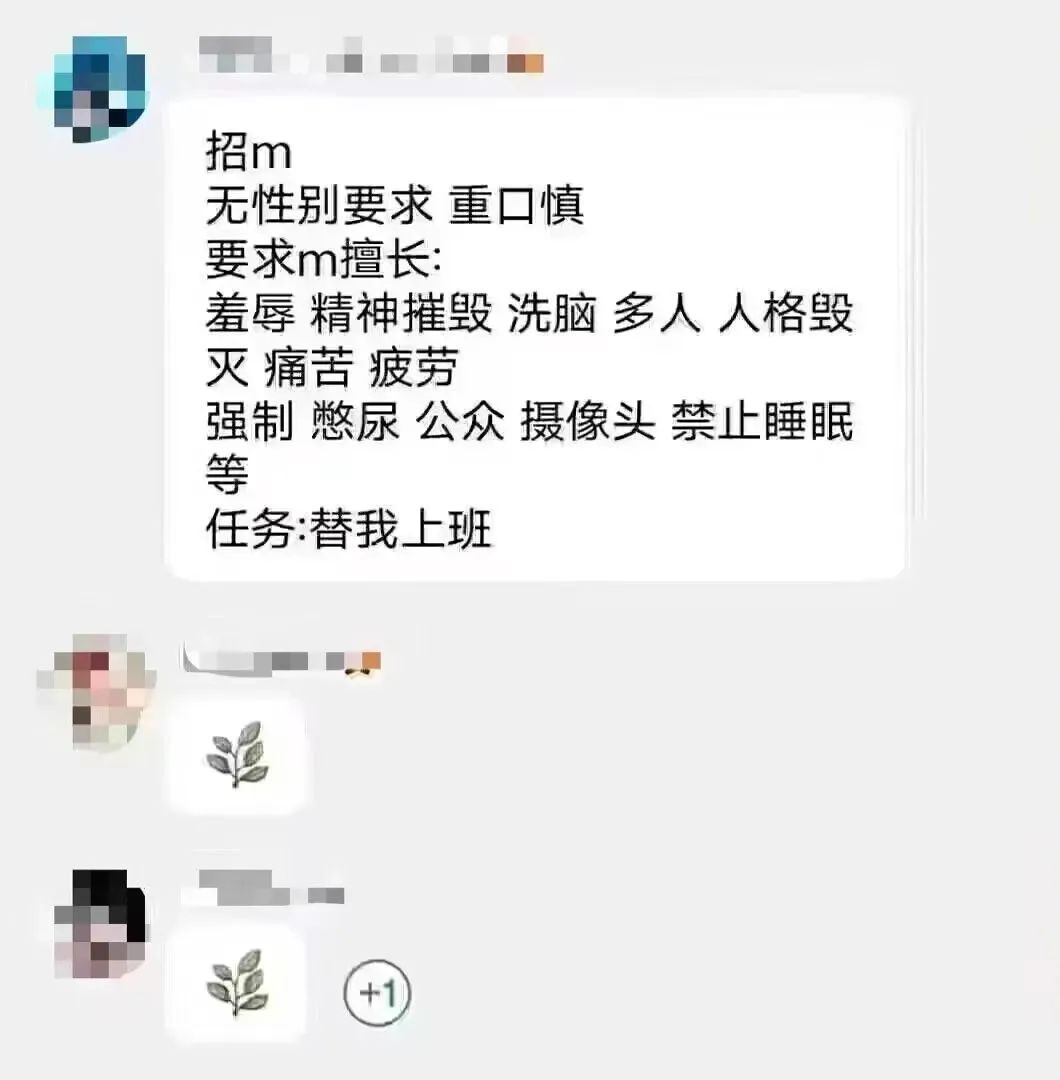 字母圈“字母圈属性大爆发”，完美演绎了我的精神状态