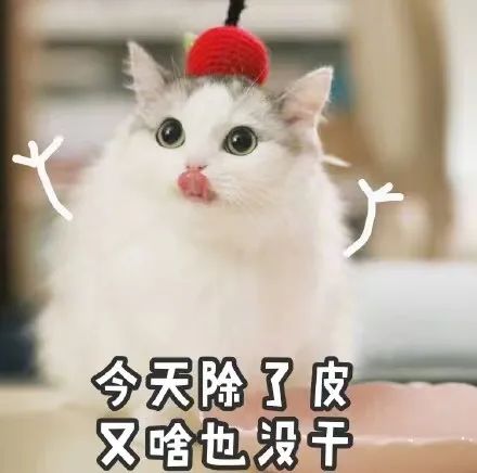 字母圈关于brat挨训的几个特点